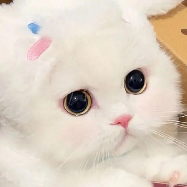 鸿宝阁app软件v50.0.0安卓最新版