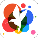 360小鸟壁纸下载 v3.0.2
