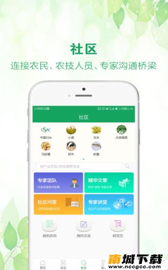 预览图3