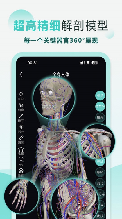掌上3D解剖3