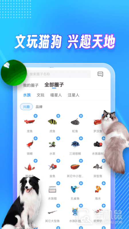 龙巅 v7.0.10