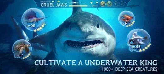 海洋王国世界 v1.0.0手游下载