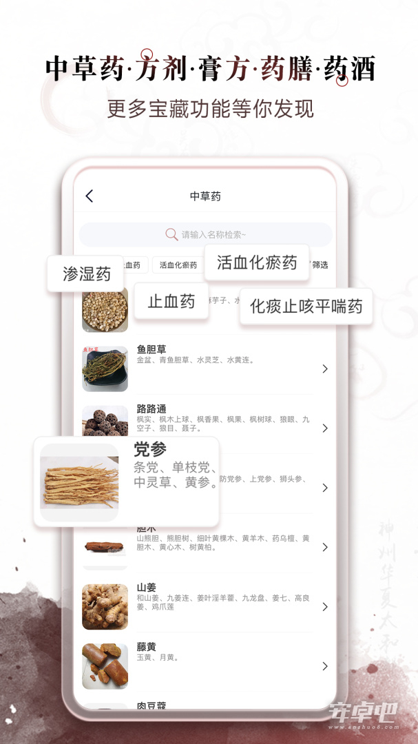 中医经络穴位
