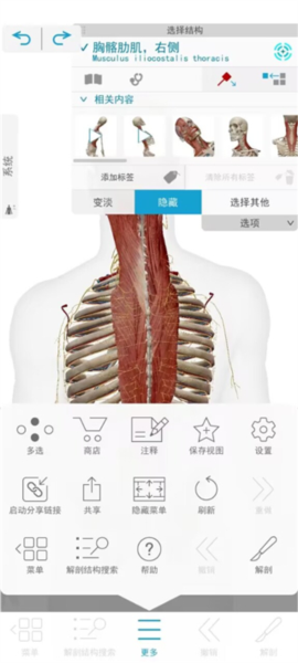 解剖和生理学软件截图8