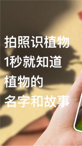 花之灵