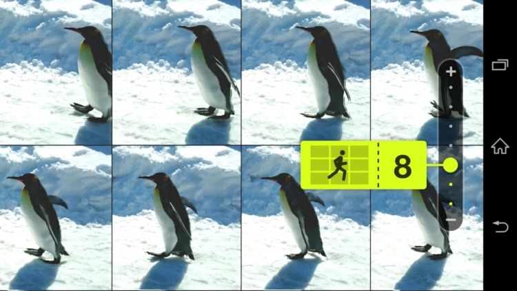 Motion Shot动态镜头截图5