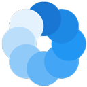 Bluecoins