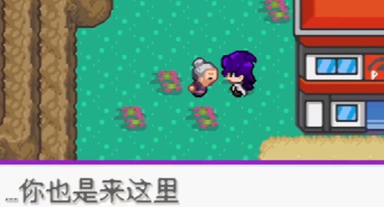精灵宝可梦百万能量最新版本