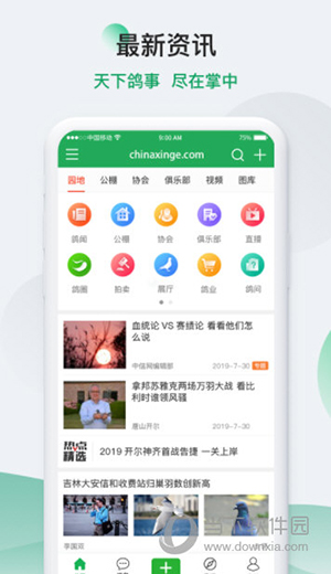 中国信鸽信息网