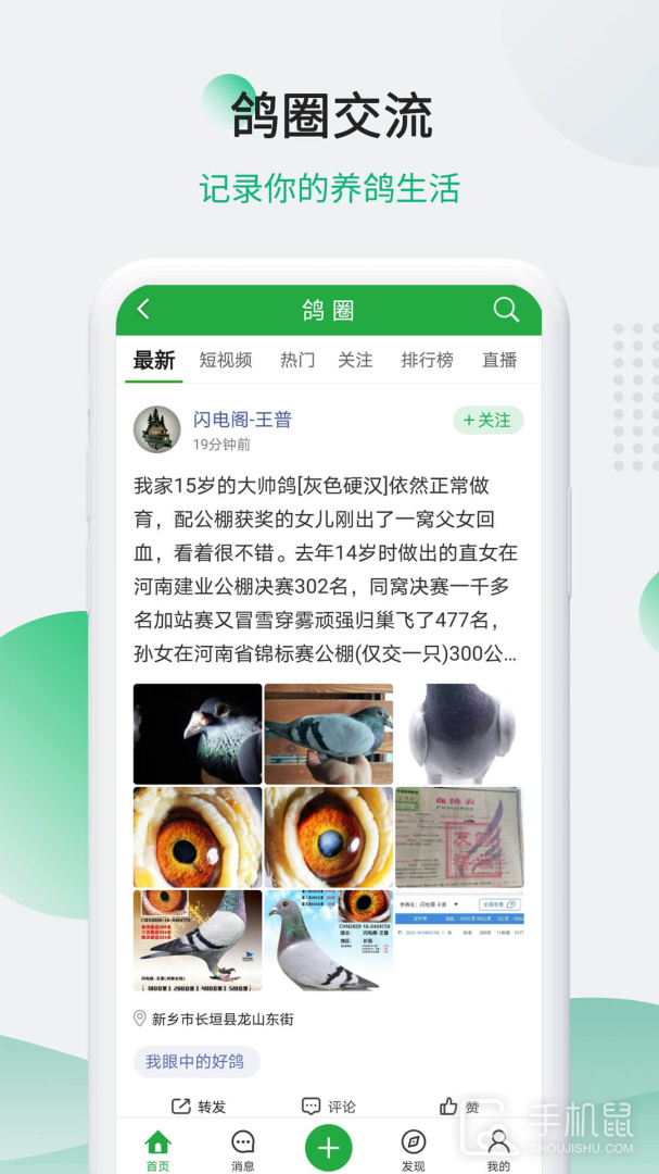 中国信鸽信息网 v20250501
