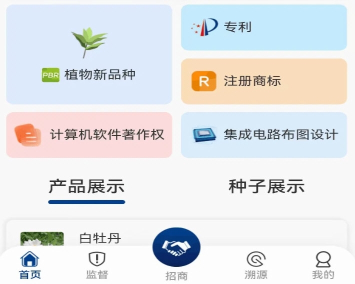 智权领航