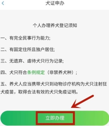 如何办理狗证配图2