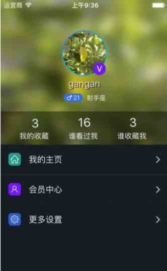 预览图3