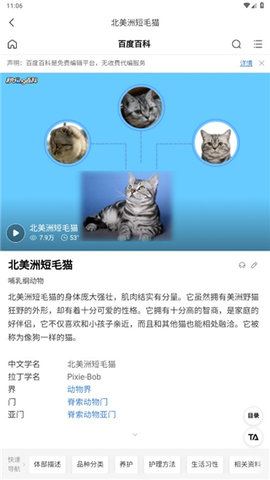 ȤèCat and Dog Translator
