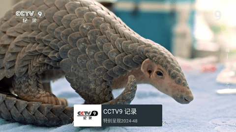 小脑斧电视TV2024最新版