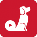 红小狗短视频v1.3.0.3
