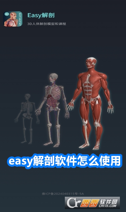 easy解剖軟件官方最新版