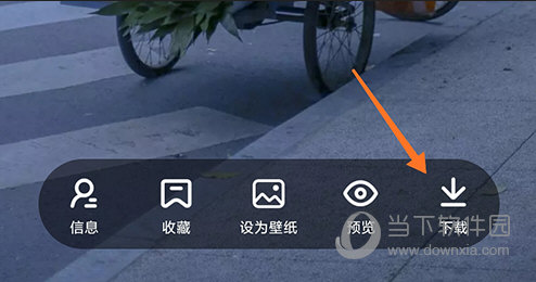 遥望下载