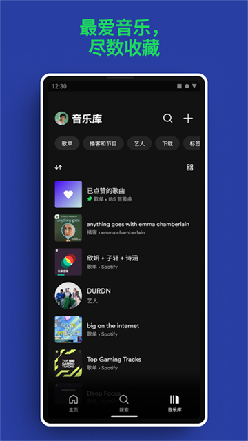 声破天Spotify官方版下载截图