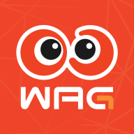 看个比赛官方版