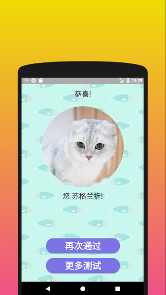 你是什么样的猫 v1.2手游下载