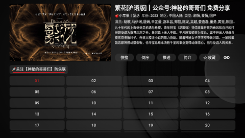 Ray影狐电视版