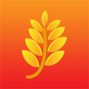 金麦直播最新版