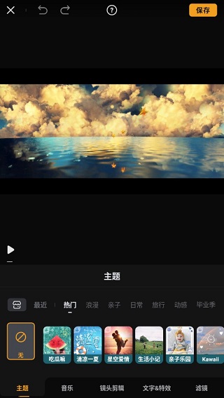 Viva Video4
