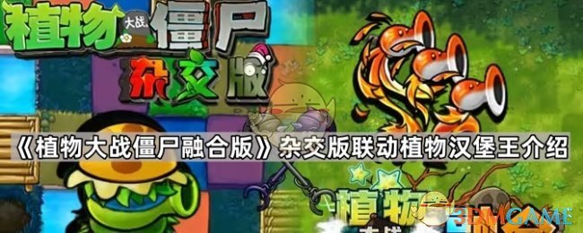 植物大战僵尸融合版杂交版联动植物汉堡王介绍