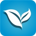 叶子TV电视版