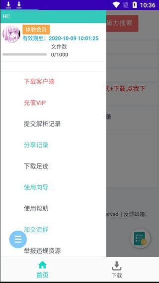 飞鸟下载器 v3.96