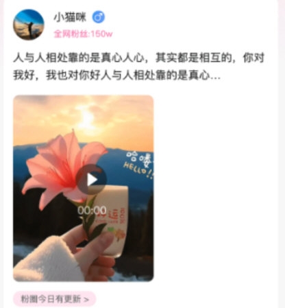 小粉圈2