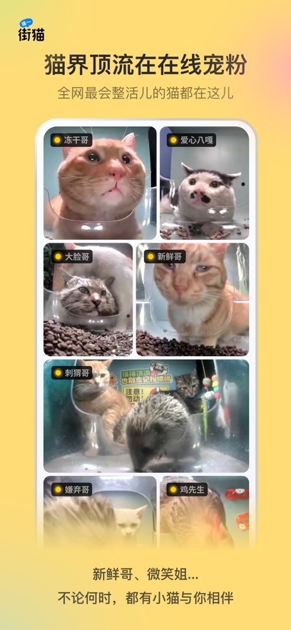 èapp氲װv2.0.5 ׿