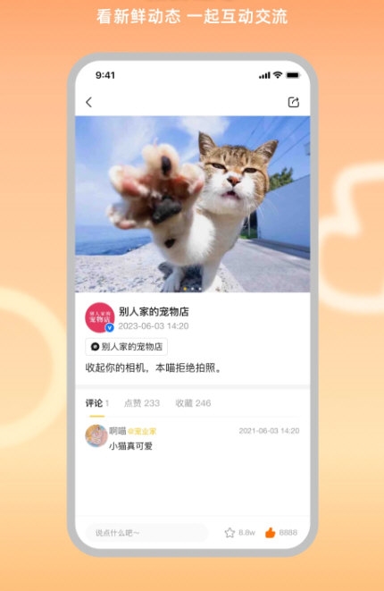 宠业家2