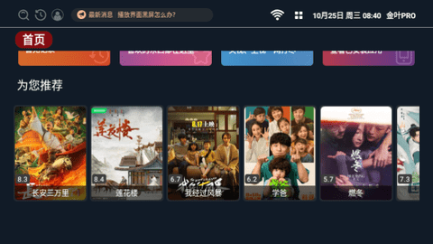 金叶PRO内置源版