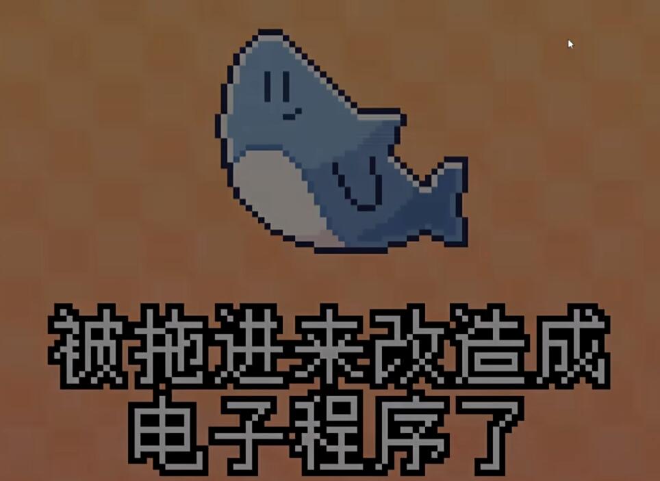 我的小鲨