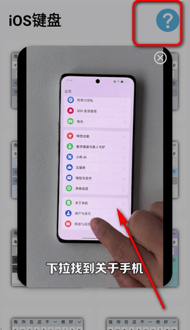 主题猫2025最新版