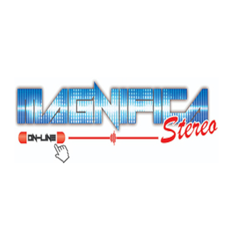 放大立体声v1.3.8