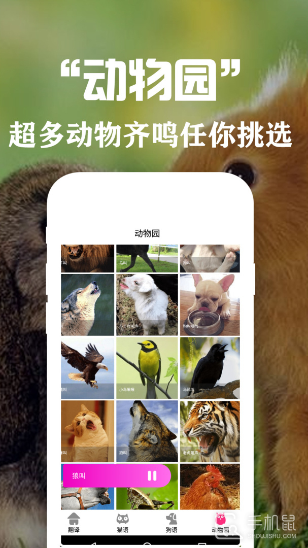 狗语翻译交流器 v3.6