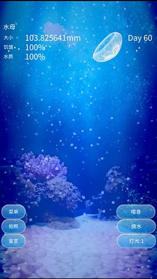 养育水母的治愈游戏app官方下载 v1.0.0