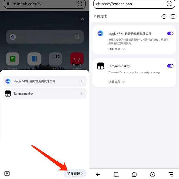 狐猴浏览器图片5