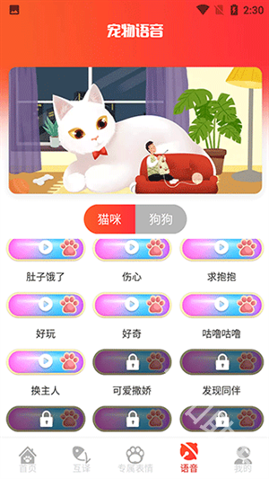 宠物交流器