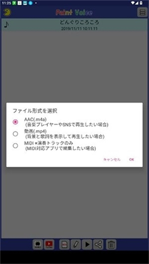 PaintVoice