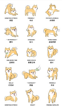 狗语翻译人狗交流器3