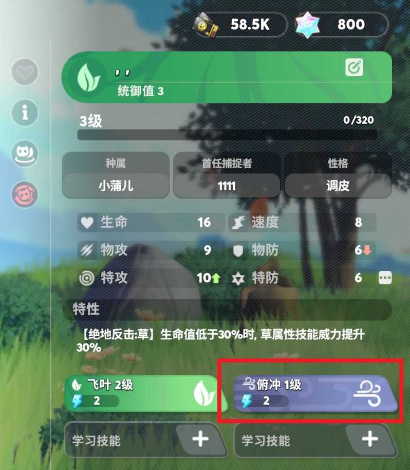 卡米的旅途国际服