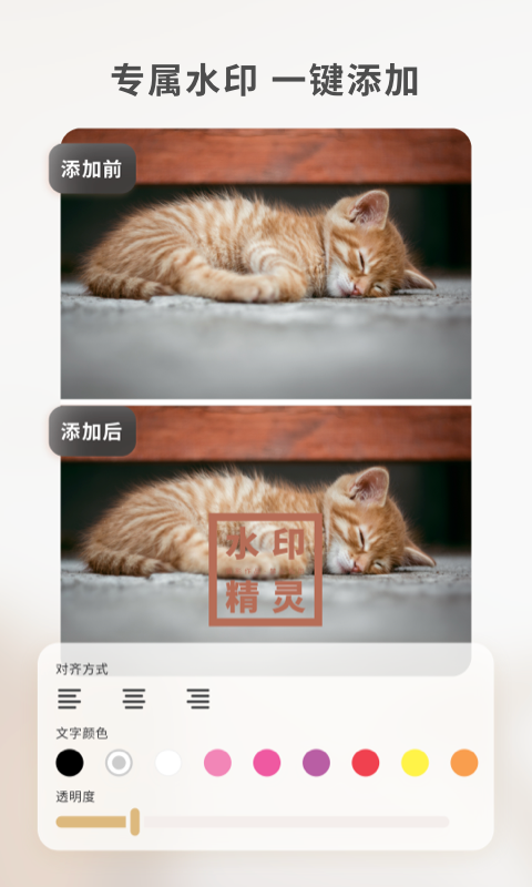 乐其爱水印精灵 v1.1.5安卓版下载