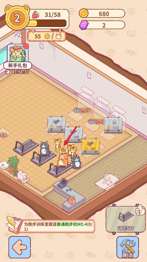猫咪健身房手机版下载 v1.0.5089