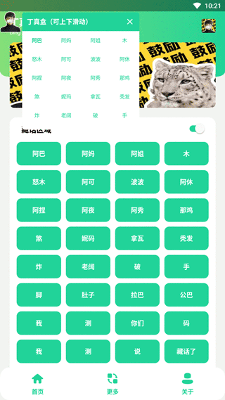 丁真盒最新版 v1.0