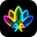 宝莲灯pro最新版 v5.1.03