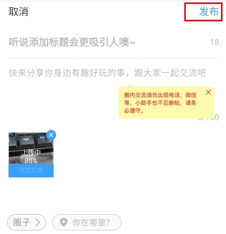 龙巅13